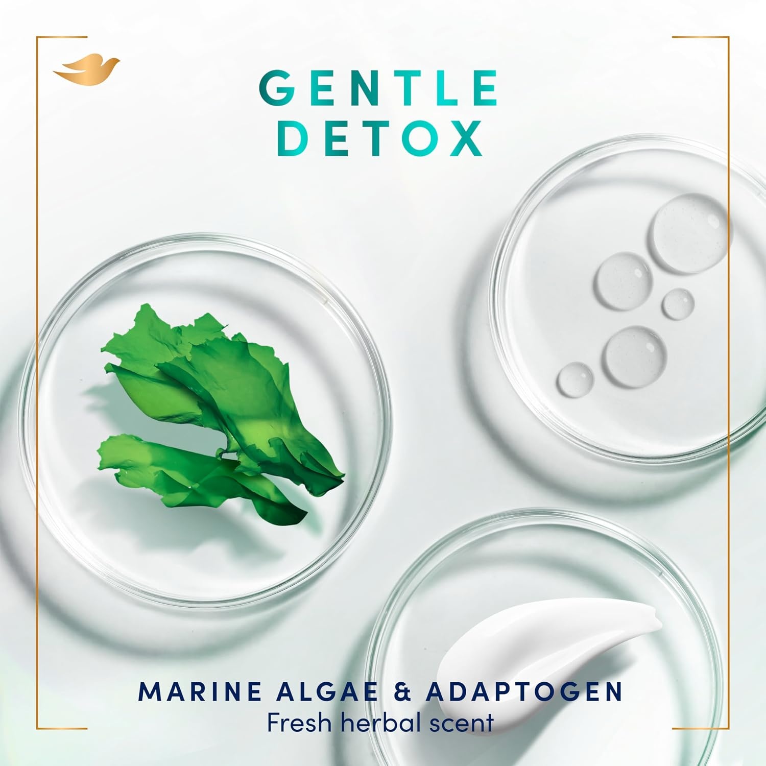 image:imageDove Prebiotic Boost Hand Wash Gentle Detox 4 Count for Lasting Softness with Marine Algae amp Adaptogen 12 ozGentle Detox