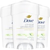17 Fl Oz (Pack of 3)