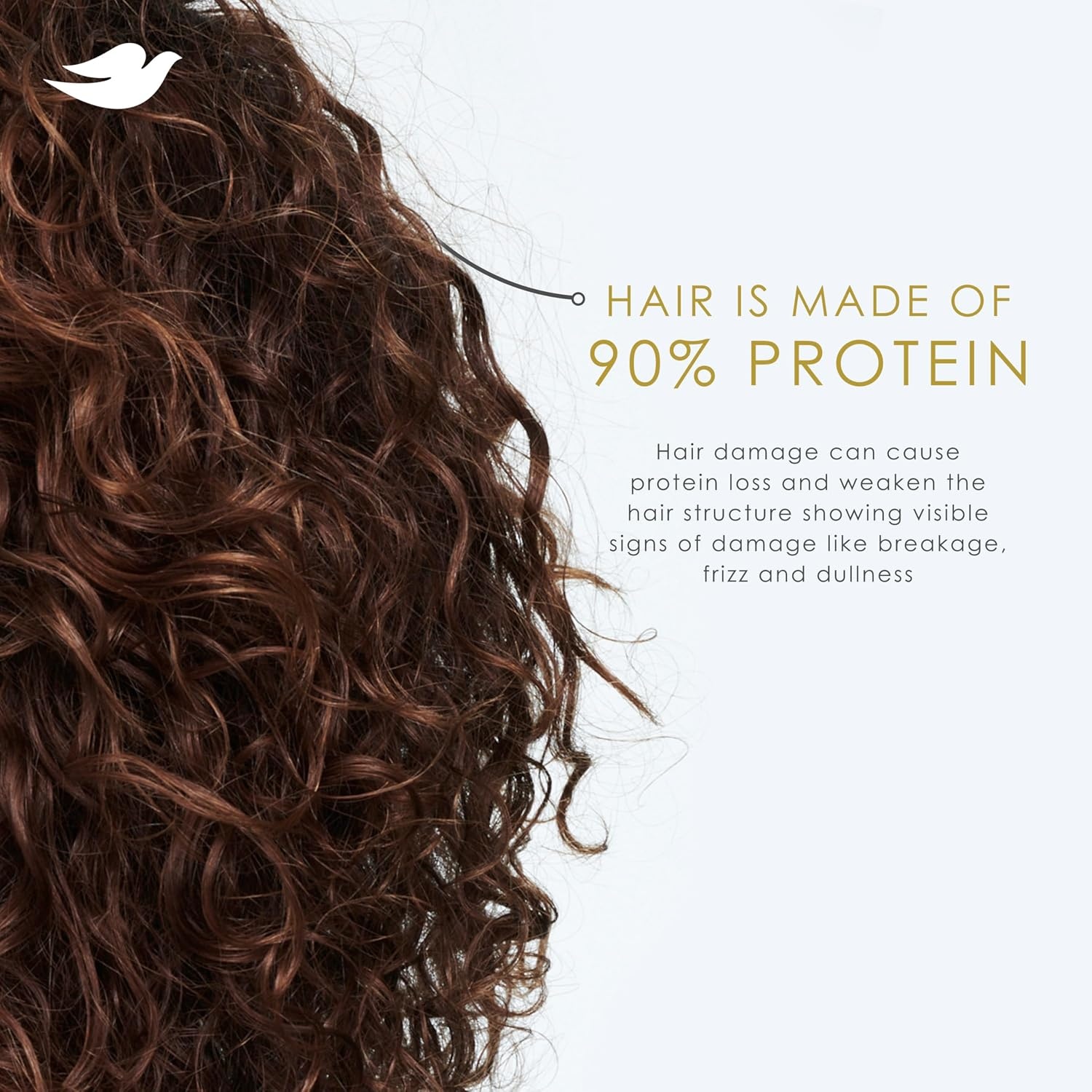 image:imageDove Argan Oil amp Repair Shampoo for Fine Damaged Hair 12oz12 Fl Oz Pack of 1
