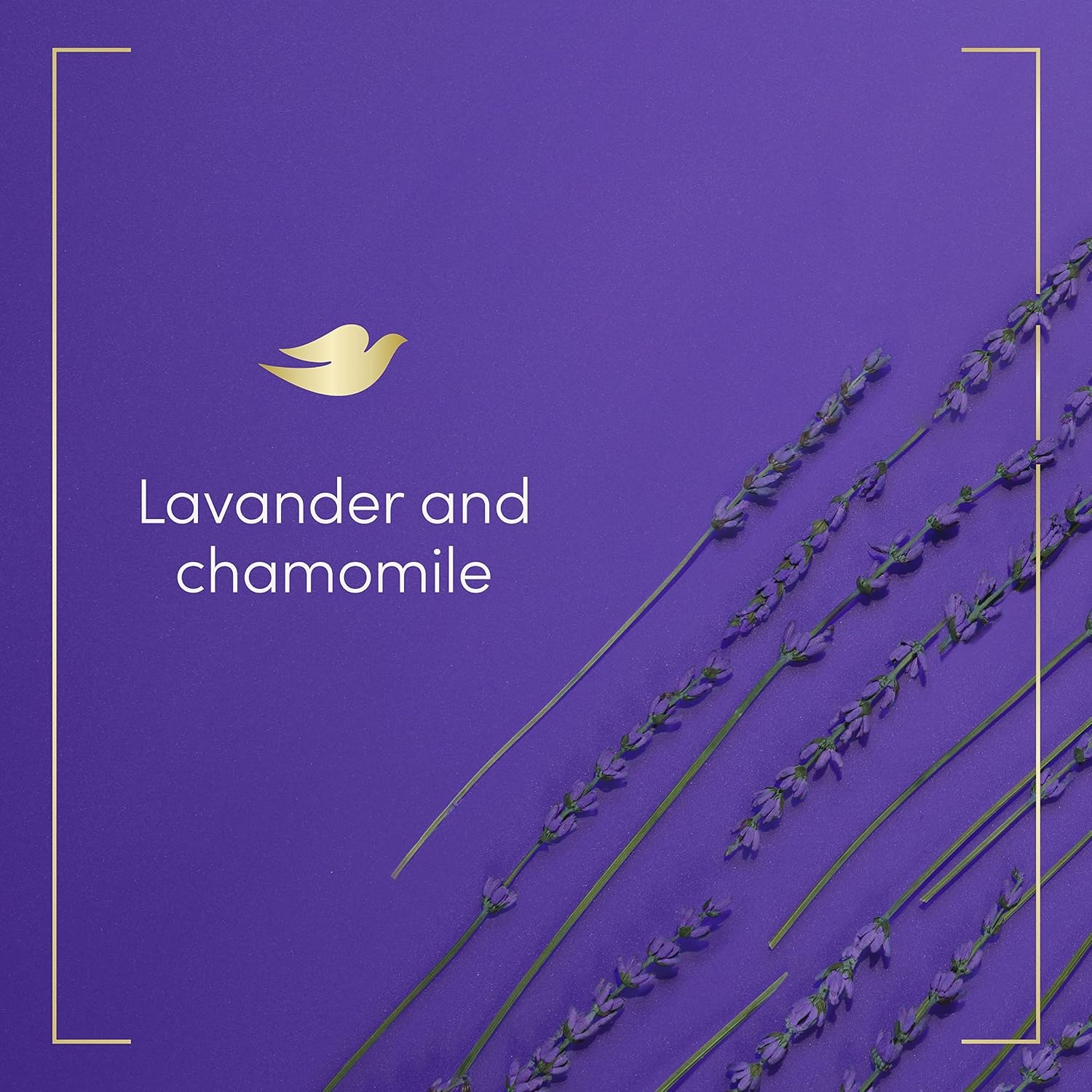 image:imageDove Body Wash with Pump Relaxing Lavender Oil amp Chamomile 3 Count for Renewed HealthyLooking Skin Gentle Skin Cleanser with 24hr Renewing MicroMoisture 306 ozLavender Oil Chamomile