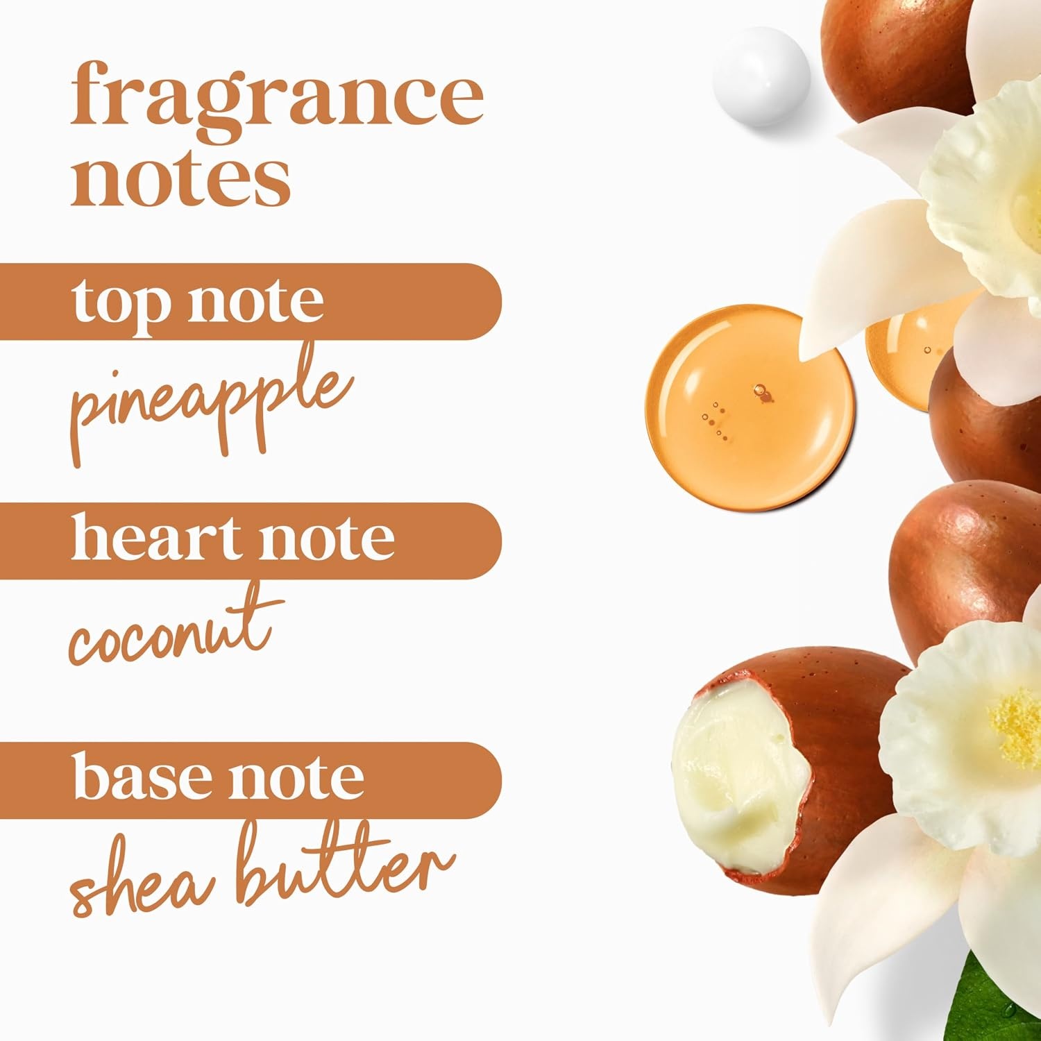 image:imageDove Body Wash Pamper Shea Butter amp Vanilla 306 oz Pump Sulfate Free306 Fl Oz Pack of 2