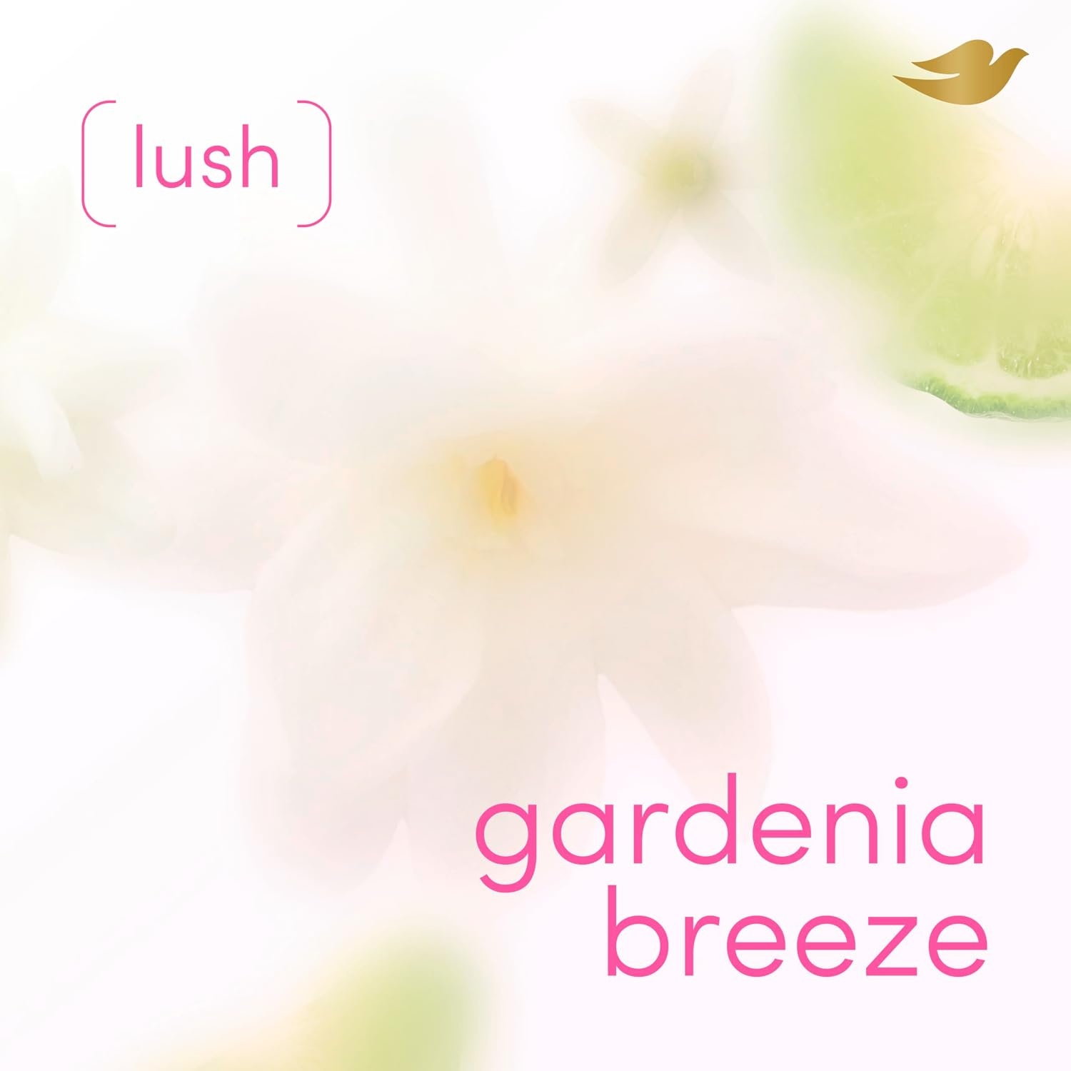 image:imageDove Gardenia Breeze AlcoholFree Whole Body Deodorant Spray 4 oz4 Ounce Pack of 2