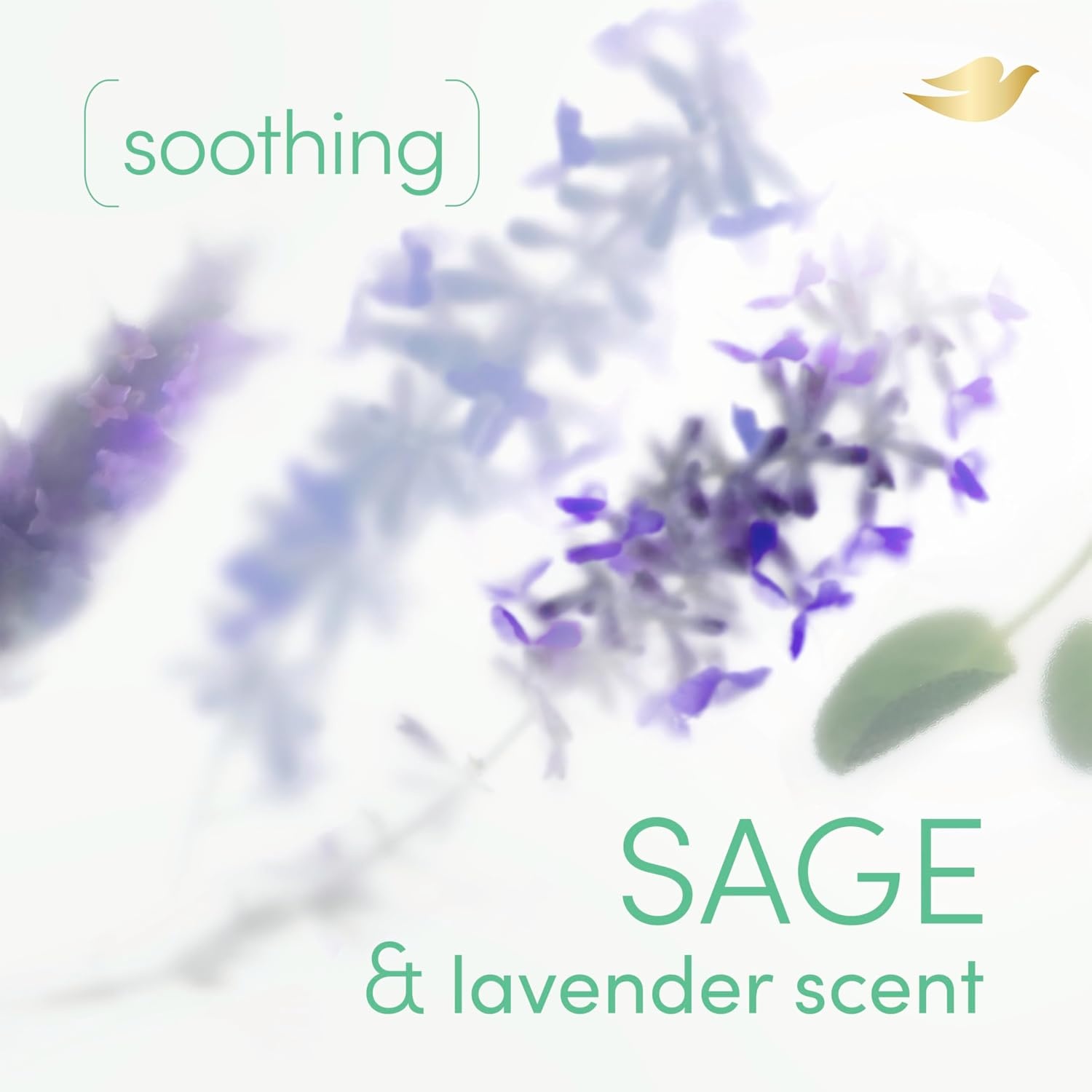 image:imageDove Whole Body Deodorant Cooling Spray Peach amp White Tea Aluminum Free 4ozSage Lavender