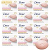 4.75 Ounce (Pack of 12)