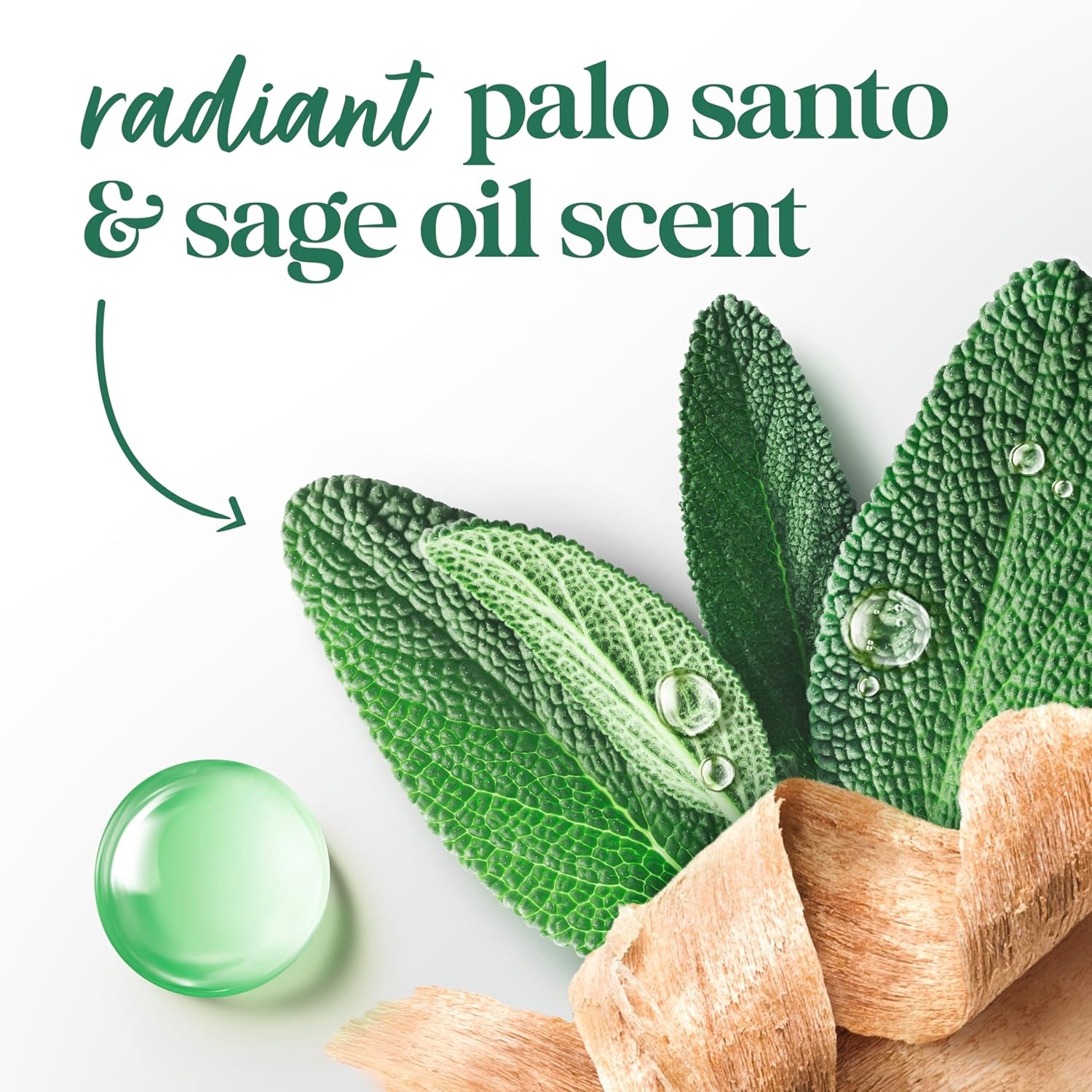 image:imageDove Limited Edition Body Scrub Palo Santo amp Sage Oil For Exfoliated 15 OZ15 Ounce Pack of 1