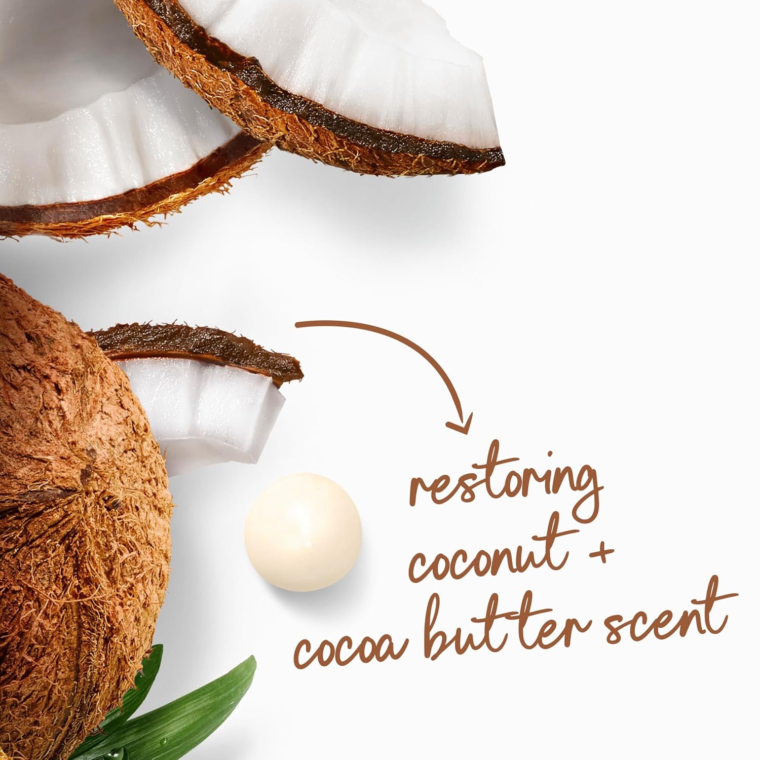 image:imageDove Purely Pampering Body Wash for Dry Skin Coconut Butter and Cocoa Butter Effectively Washes Away Bacteria While Nourishing Your Skin 22 oz 4 count20 Fl Oz Pack of 1