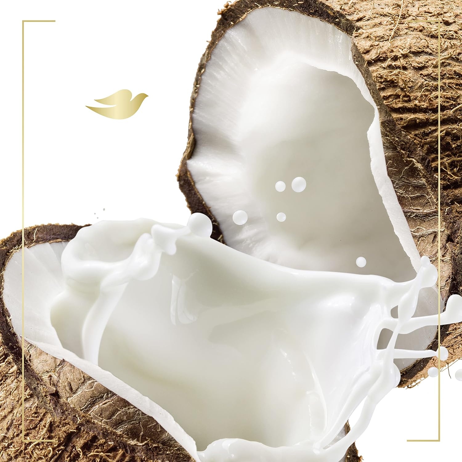 image:imageDove Purely Pampering Body Wash for Dry Skin Coconut Butter and Cocoa Butter Effectively Washes Away Bacteria While Nourishing Your Skin 22 oz 4 count22 Fl Oz Pack of 4
