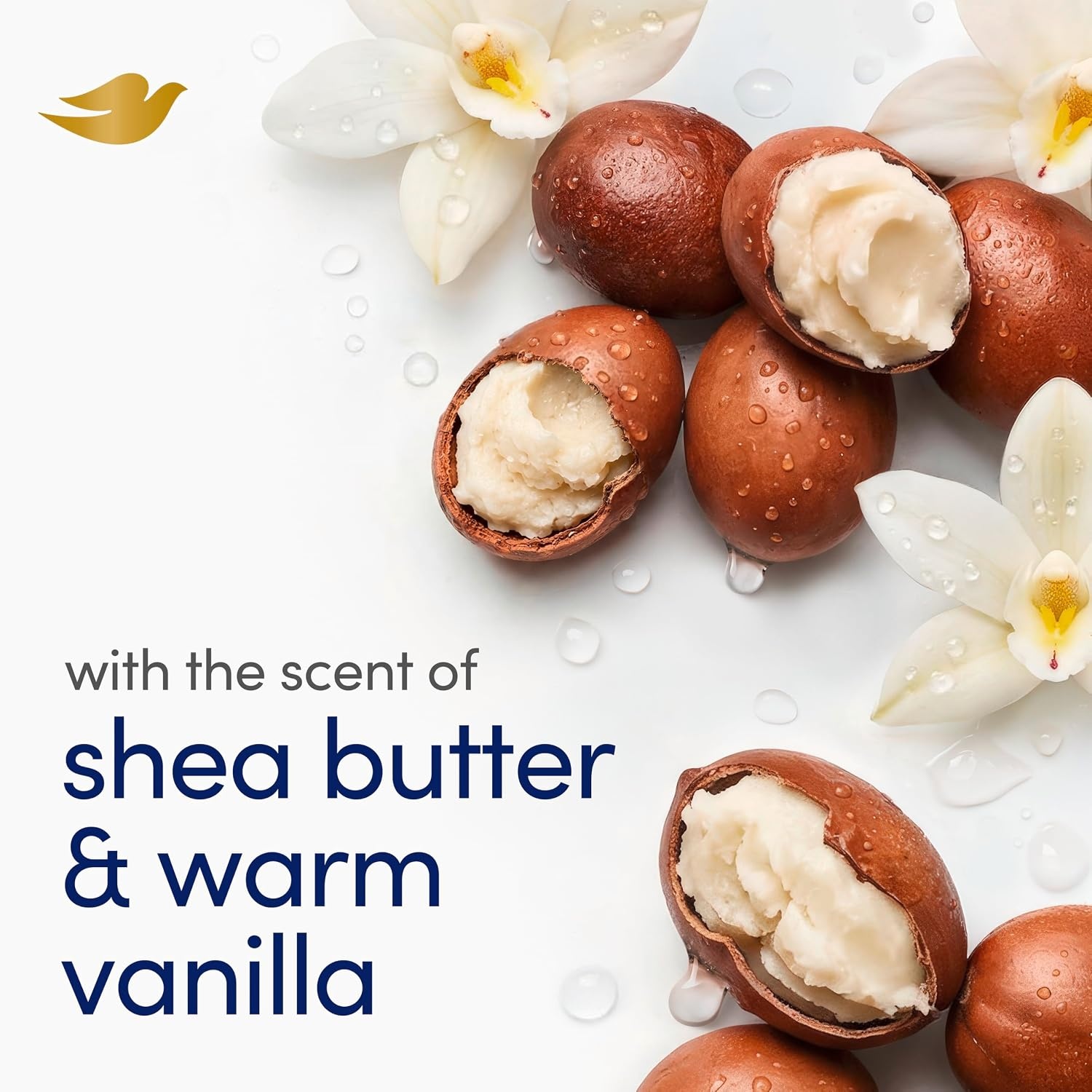 image:imageDove Shea Butter Beauty Bar Soap 8 Count Cleanser 375 oz I beauty bar1 Ounce Pack of 4