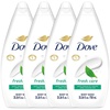 22 Fl Oz (Pack of 4)