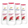 20 Fl Oz (Pack of 4)
