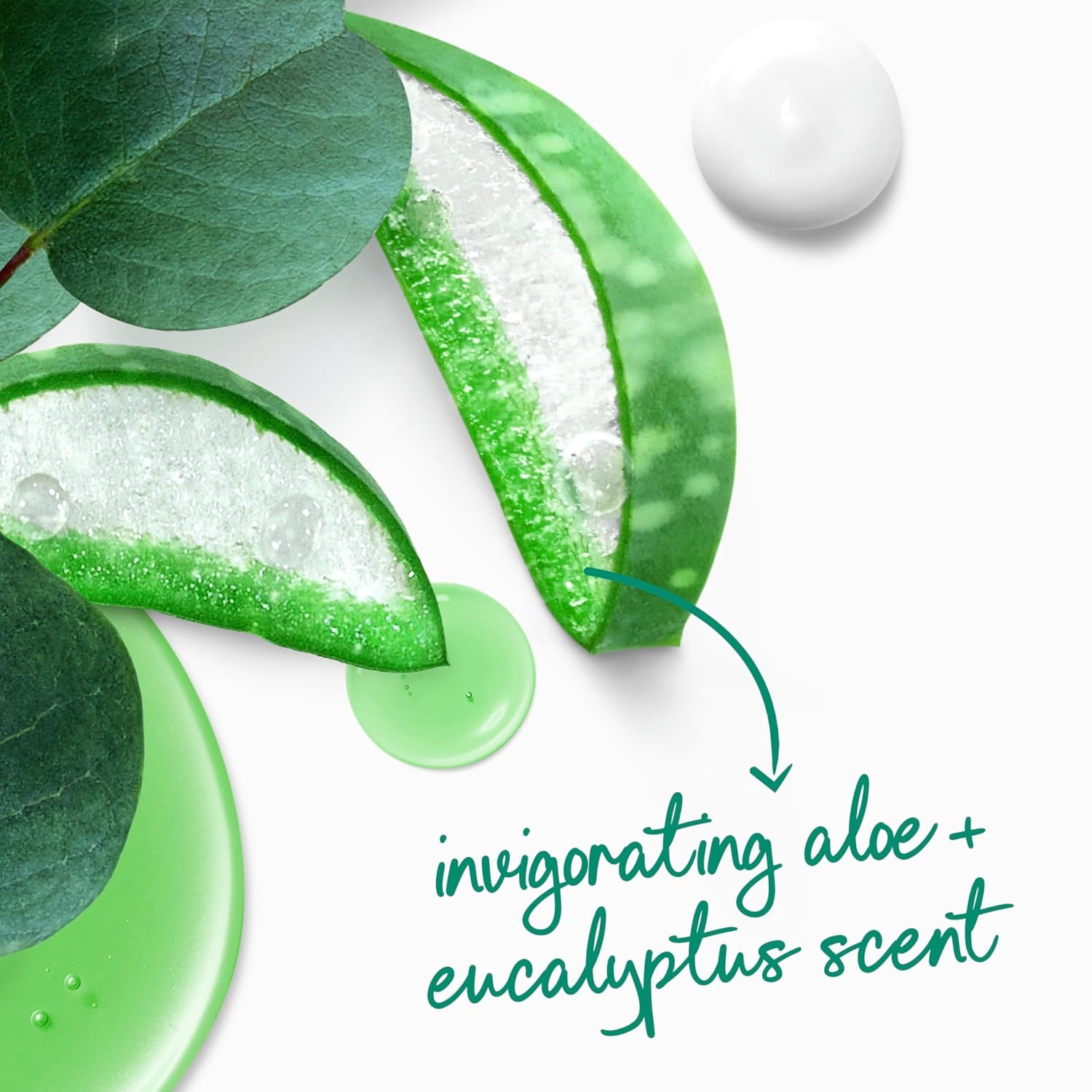 image:imageDove Body Wash with Pump 4 Count Invigorate Aloe amp Eucalyptus For 24hr LotionSoft Skin Moisturizing Skin Cleanser with No Sulfates No Parabens