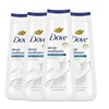 20 Fl Oz (Pack of 4)