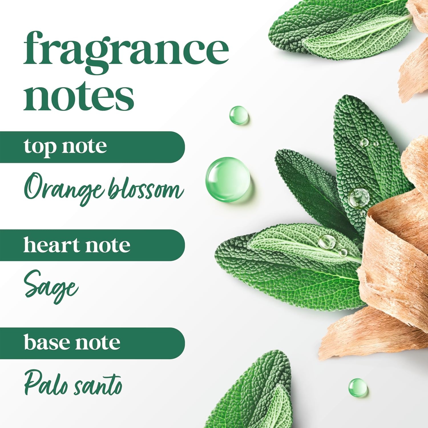 image:imageDove Advanced Care Palo Santo Antiperspirant Stick 26oz26 Ounce Pack of 12