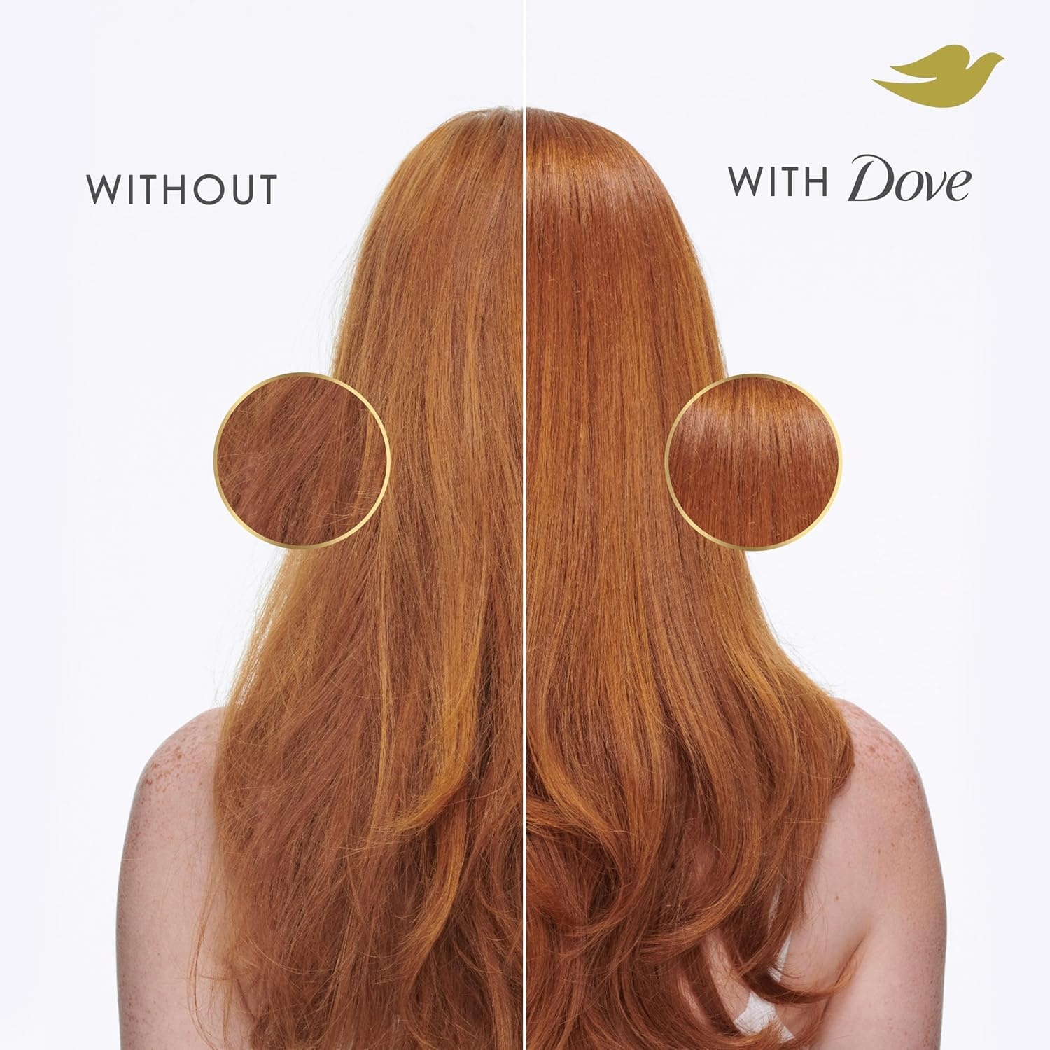 image:imageDove Daily Moisture Conditioner with BioProtein Care Technology 28 Fl OzAquatic