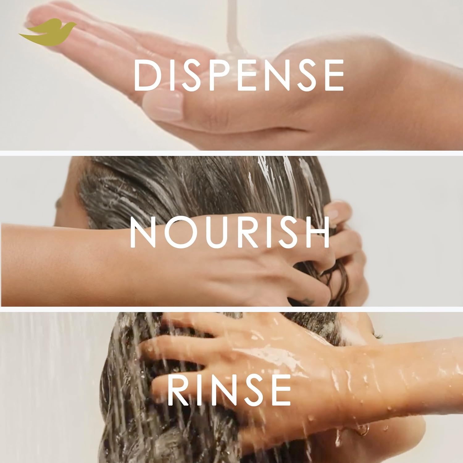 image:imageDove Daily Moisture Conditioner with BioProtein Care Technology 28 Fl OzAquatic