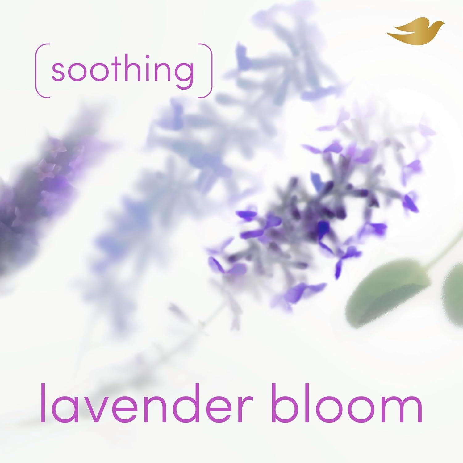 image:imageDove Lavender Bloom AlcoholFree Whole Body Deodorant Spray 4 oz